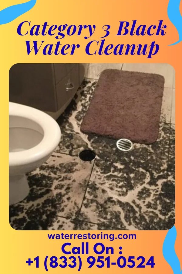 Category 3 Black Water Cleanup in Indian Harbour Beach, FL
