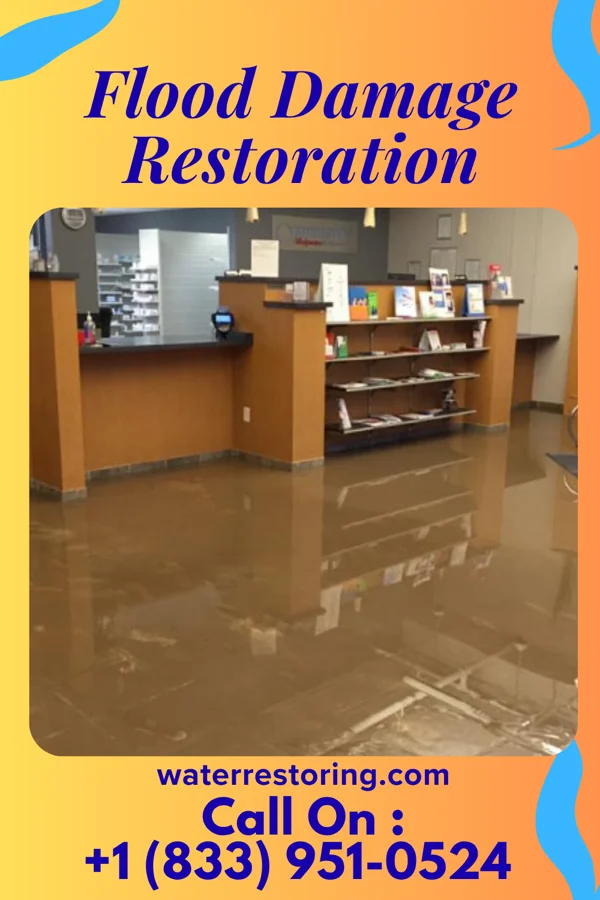 Flood Damage Restoration in Indian Harbour Beach, FL